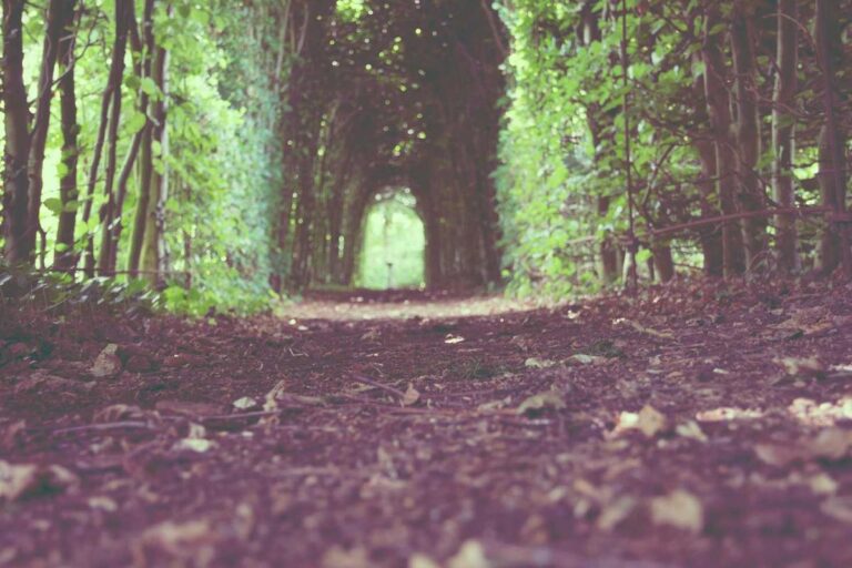 מה מספרים בסטטוס? תיעוד קצר שמכבד פרטיות